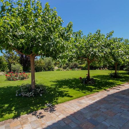 Villa Rodoula In Mystras أسبرطة المظهر الخارجي الصورة