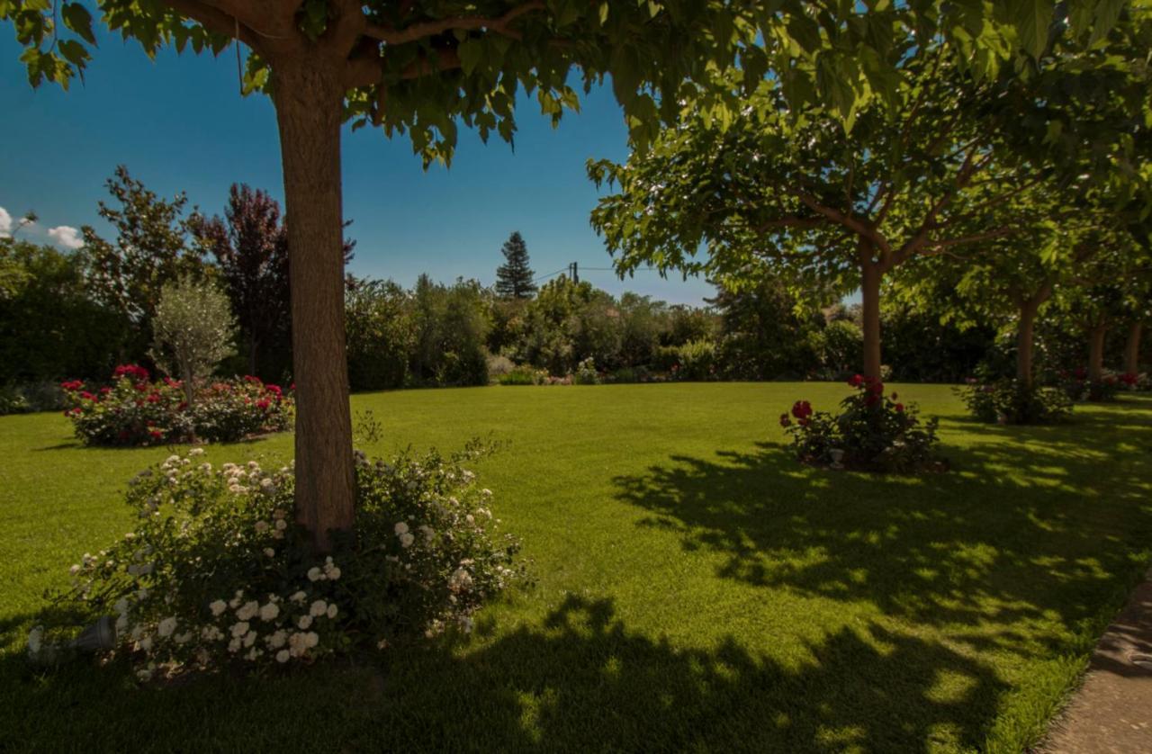 Villa Rodoula In Mystras أسبرطة المظهر الخارجي الصورة