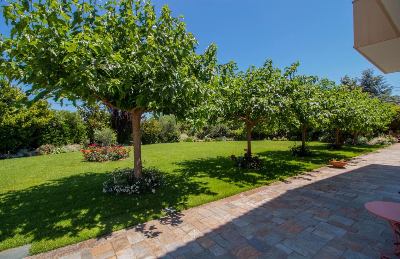 Villa Rodoula In Mystras أسبرطة المظهر الخارجي الصورة